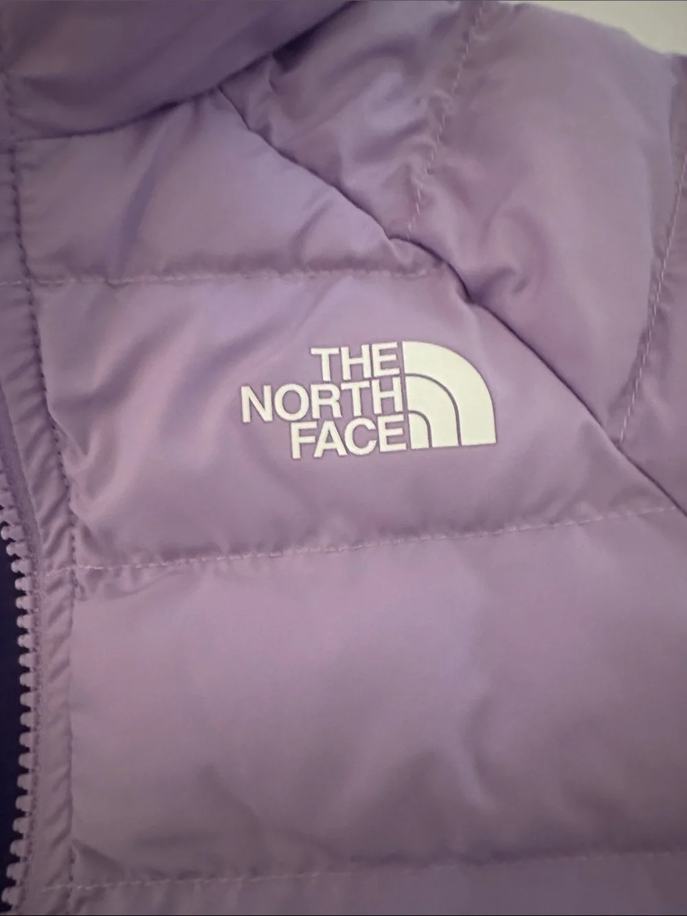 The North Face Kids Lavender Hooded Puffer Jacket